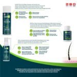 Hair MD HAIR REPAIR Month Use