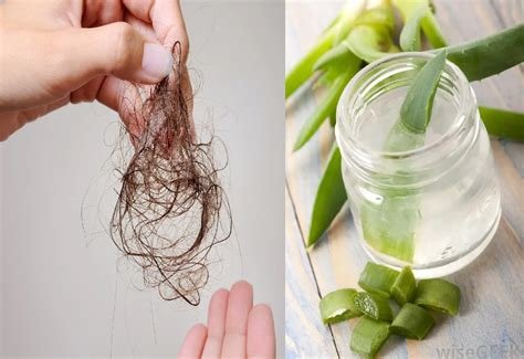 Evocapil: La solución natural para la caída del cabello